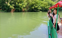 免费午夜理论不卡